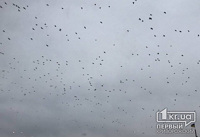 Фото к новости Главное фото новости