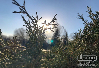Фото к новости Главное фото новости