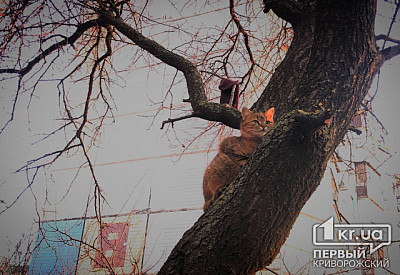 Фото к новости Главное фото новости