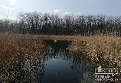 Фото к новости Главное фото новости