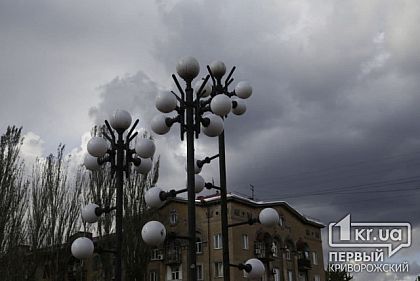 Не ходите под деревьями: в Кривом Роге ожидается сильный ветер