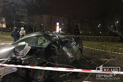 В Кривом Роге авто влетело в дерево