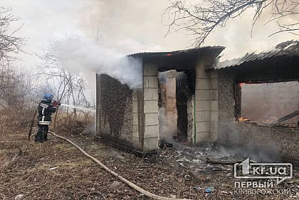 В Кривом Роге сгорел дачный дом