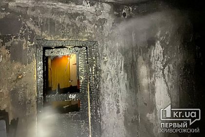 Пожарным понадобилось меньше часа, чтобы потушить пылающий дом в Кривом Роге