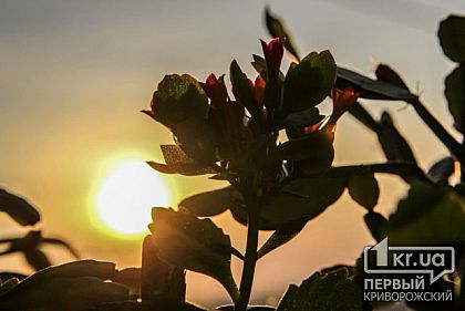 Прогноз погоды в Кривом Роге на 12 марта