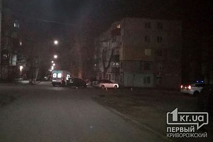 Трое криворожан пострадали в результате ДТП