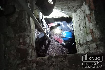 Пожарные спасли собаку, которая провалилась в погреб