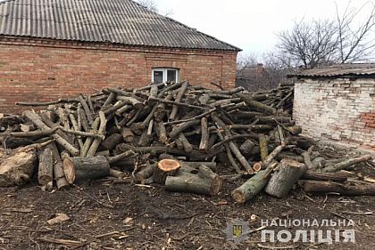 Трое криворожан задержаны по подозрению в незаконной вырубке леса