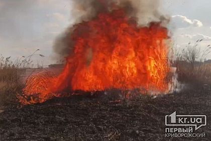 52 пожара из-за поджигания сухостоя и мусора случилось в Кривом Роге с начала года