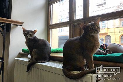 Когда в Кривом Роге отключат отопление