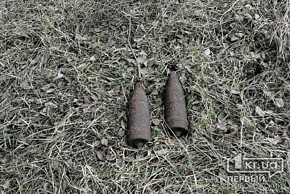 В лесополосе в Криворожском районе обнаружили снаряды