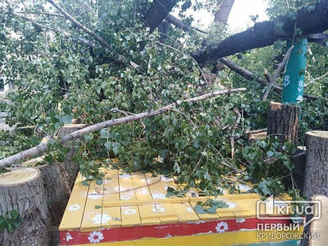 Жители Кривого Рога жалуются, что никто не убирает обвалившиеся деревья