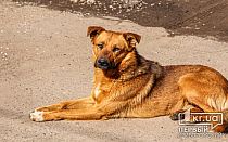 Фото новости