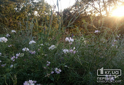 Фото к новости Главное фото новости
