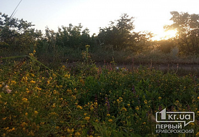 Фото к новости Главное фото новости