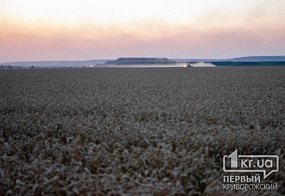 Фото к новости Главное фото новости
