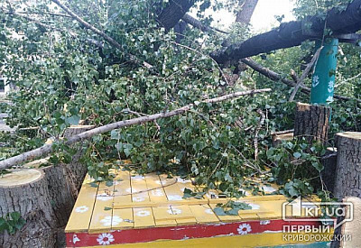 Фото к новости Главное фото новости