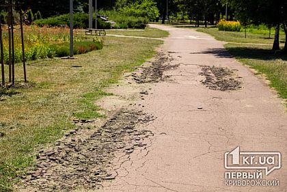 В Кривом Роге планируют ремонтировать аллеи в парке возле исполкома