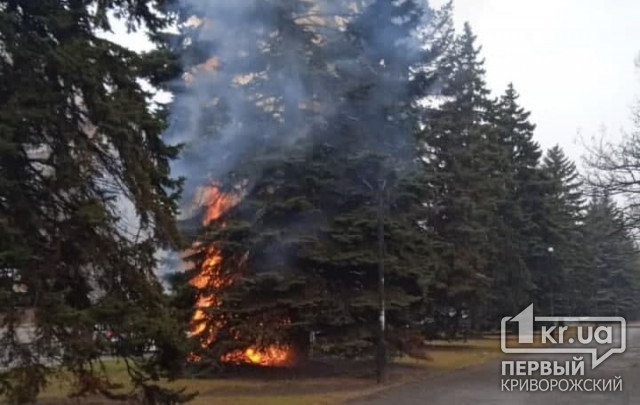 Елочка гори — в Кривом Роге сгорело хвойное дерево