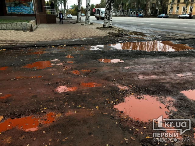 Криворожанка просит отремонтировать и проложить дорогу в поселке Бажаново, — петиция