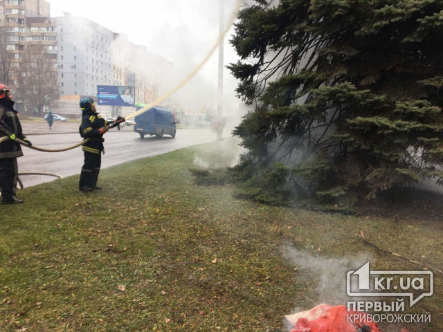 Полиции сообщили о возможном поджоге ёлки возле университета в Кривом Роге