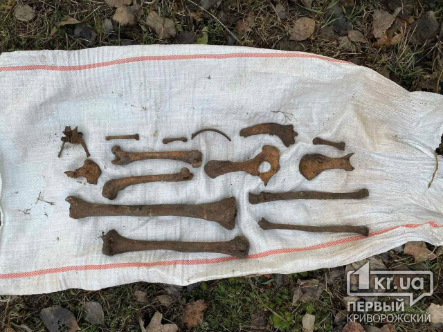 В Кривом Роге бойцы ГСЧС извлекли останки человеческого тела