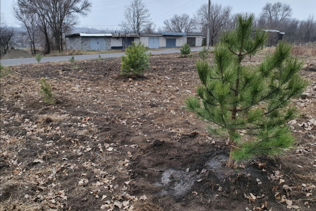 Центральний ГЗК висадив 740 дерев у селищі Авангард