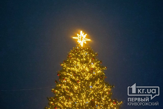 Как выглядят новогодние елки в Украине — лучшие фото