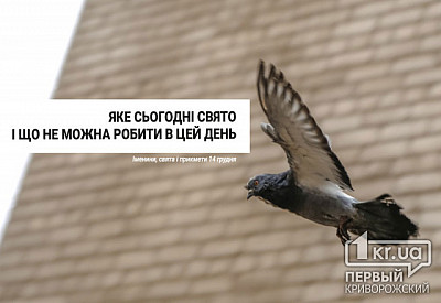 Главное фото новости