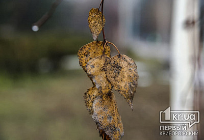 Фото к новости Главное фото новости