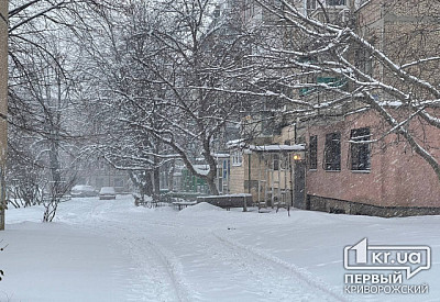 Фото к новости Главное фото новости