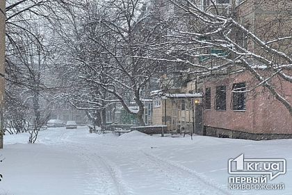 Прогноз погоды в Кривом Роге на новогоднюю ночь, —Укргидрометцентр озвучил свежие данные