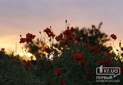 Фото к новости Главное фото новости