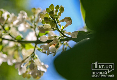 Фото к новости Главное фото новости