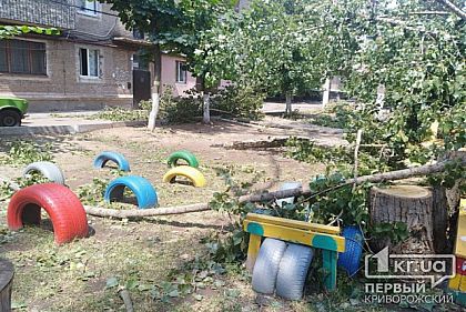 Криворожане жалуются на управкомпанию, которая не обрезает аварийные деревья во дворе