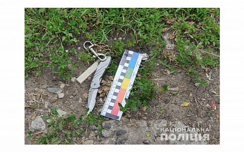 Главное фото новости