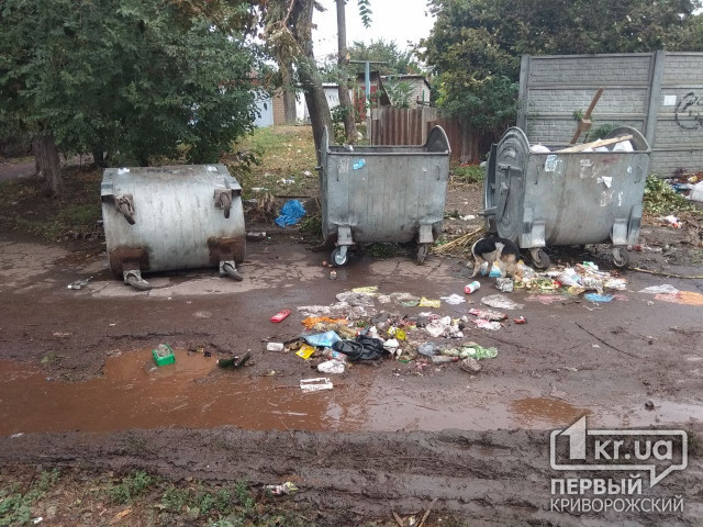 На сбор мусора в Долгинцевском районе Кривого Рога потратят 2 миллиона гривен