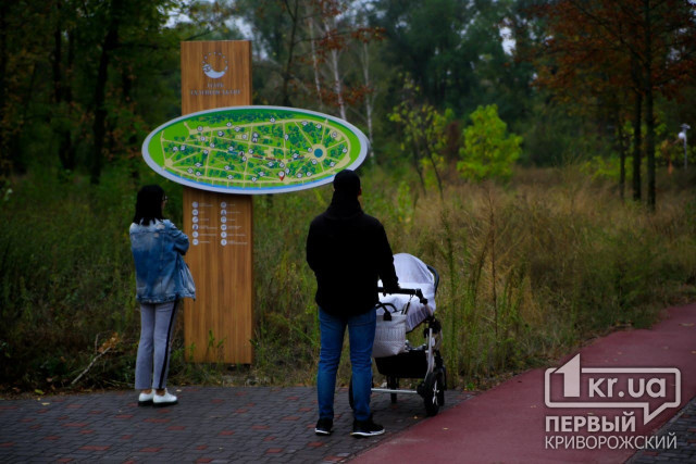Из-за завышенной цены арт-зон в Гданцевском парке судят инженера технадзора