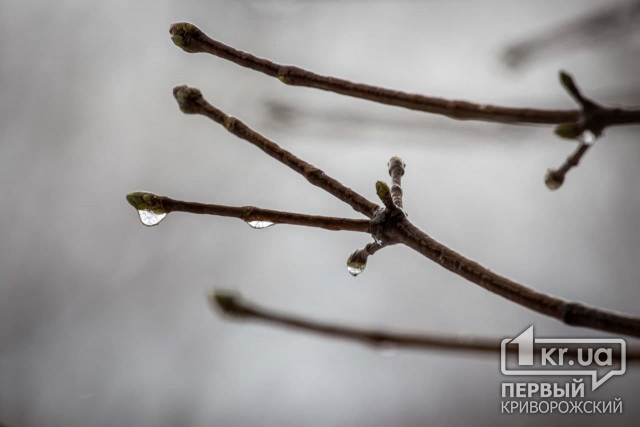 Погода в Кривом Роге 16 февраля