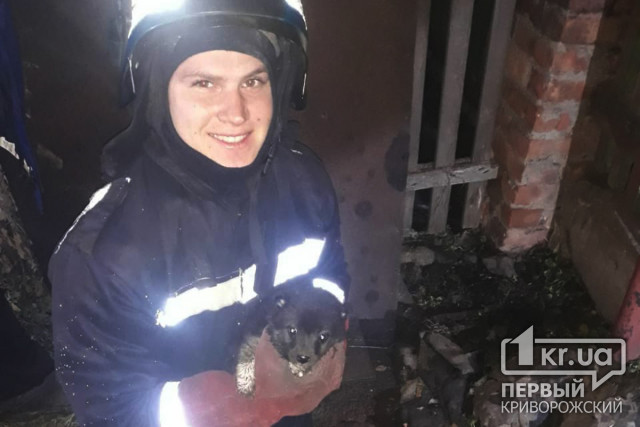 В Кривом Роге пожарные спасли щенка
