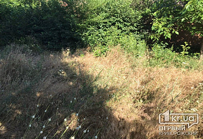 Фото к новости Главное фото новости