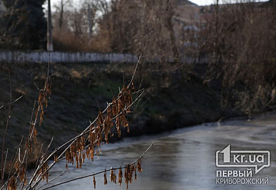 Фото к новости Главное фото новости