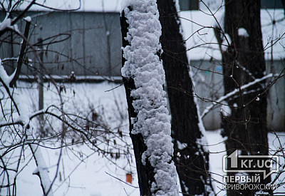 Фото к новости Главное фото новости