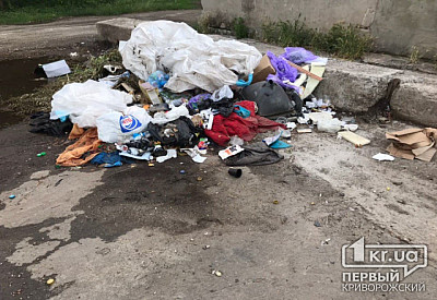 Фото к новости Главное фото новости