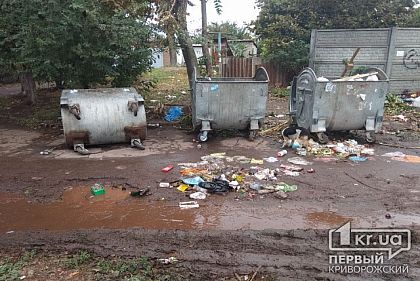 На сбор мусора в Долгинцевском районе Кривого Рога потратят 2 миллиона гривен