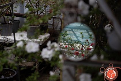 Зеркальные даты 2021 года