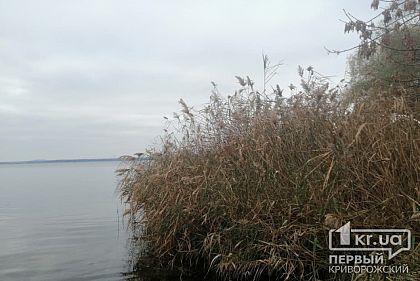 Почти миллион гривен заплатит криворожанин, который убил собутыльника и выбросил труп в реку