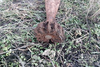 На кладбище в Кривом Роге обнаружили мину