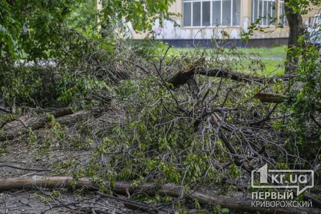 На 4-летнюю криворожанку упало дерево на детской площадке