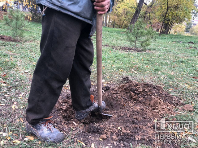 В парке Мершавцева криворожане высадили деревья